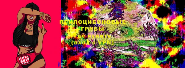 гашик Абаза
