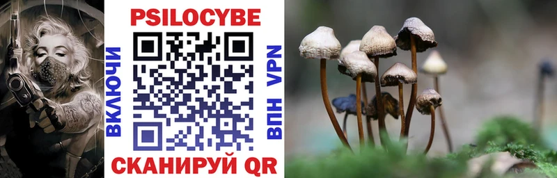 купить наркотики цена  гидра ссылка  Галлюциногенные грибы мухоморы  Курск 