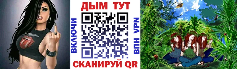 Бошки марихуана THC 21%  Курск 